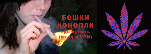 ALPHA PVP Армянск