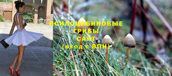 ALPHA PVP Армянск