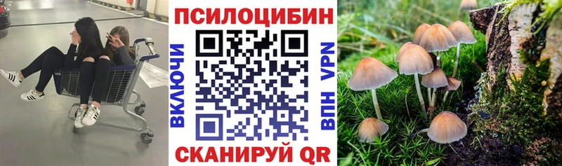 Галлюциногенные грибы MAGIC MUSHROOMS  где купить   Советская Гавань 